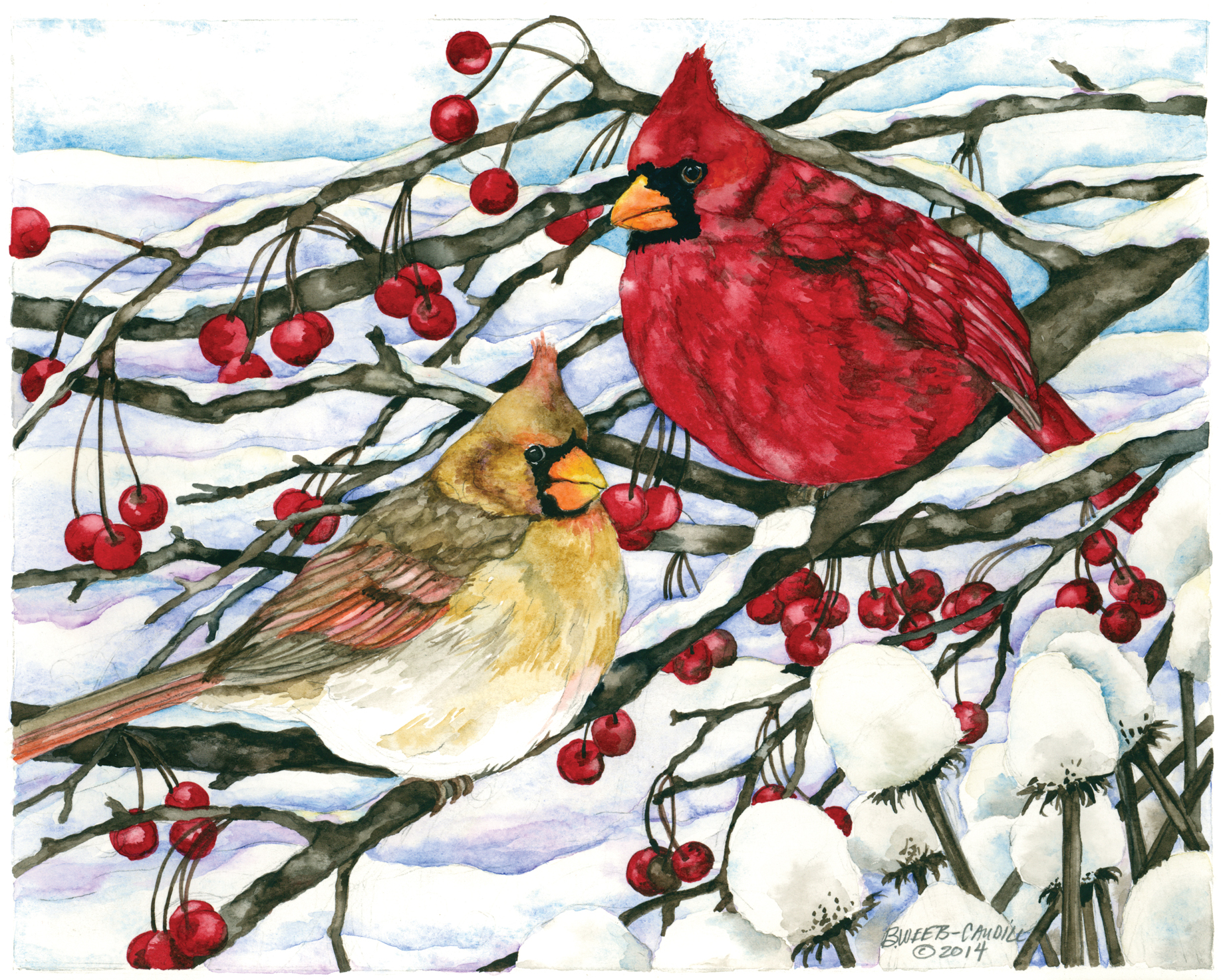 Winter Garden Cardinals --Barbara Weets